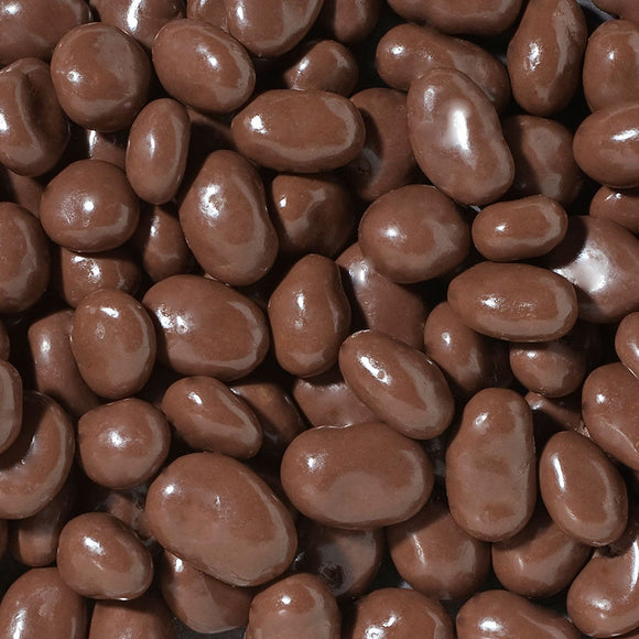 Chocolate Covered Raisins